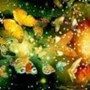 Meet your Posher, Elaine